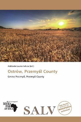 Ostrów, Przemy l County
