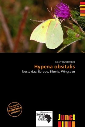 Hypena obsitalis Hypena obsitalis