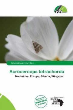 Acrocercops tetrachorda