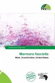 Marmara fasciella Marmara fasciella