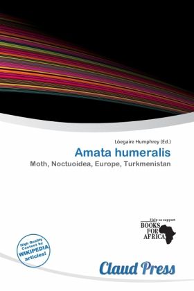 Amata humeralis