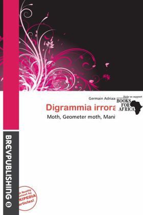 Digrammia irrorata Digrammia irrorata