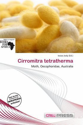 Cirromitra tetratherma Cirromitra tetratherma