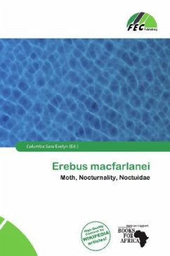 Erebus macfarlanei