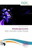 Amata pyrocoma Amata pyrocoma