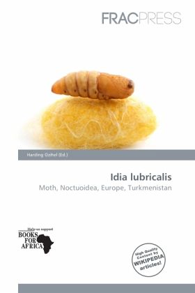 Idia lubricalis Idia lubricalis