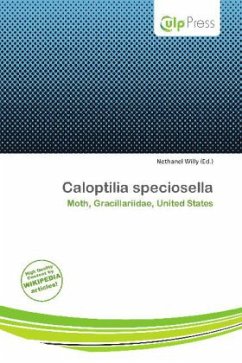 Cover Caloptilia speciosella