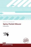 Spiny Pocket Mouse