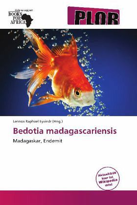 Bedotia madagascariensis Bedotia madagascariensis