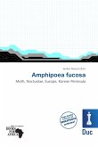 Amphipoea fucosa