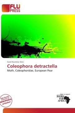 Coleophora detractella