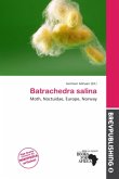 Batrachedra salina