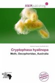 Cryptophasa hyalinopa