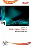 Heliocheilus fumata