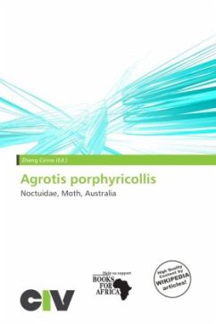 Agrotis porphyricollis Cover Agrotis porphyricollis