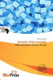 Amata chlorometis