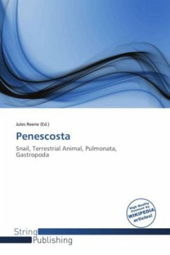 Cover Penescosta