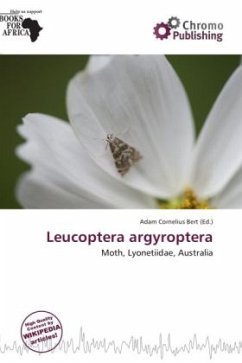 Leucoptera argyroptera