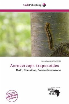 Acrocercops trapezoides