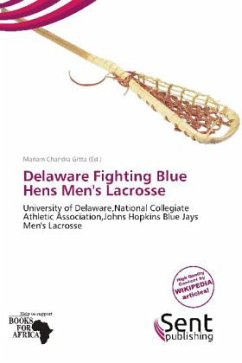 Delaware Fighting Blue Hens Men's Lacrosse