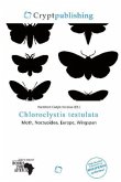 Chloroclystis testulata