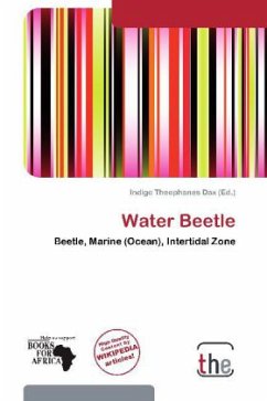 Water Beetle