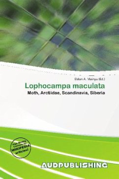 Lophocampa maculata