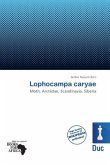 Lophocampa caryae