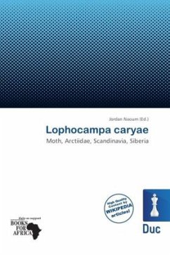 Lophocampa caryae