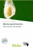 Besma quercivoraria Besma quercivoraria