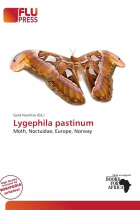 Lygephila pastinum Lygephila pastinum