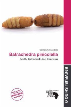 Cover Batrachedra pinicolella