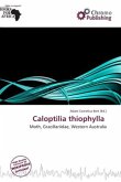 Caloptilia thiophylla Caloptilia thiophylla
