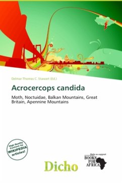 Acrocercops candida