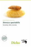 Donuca spectabilis