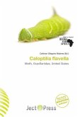 Caloptilia flavella