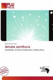 Amata xanthura Amata xanthura