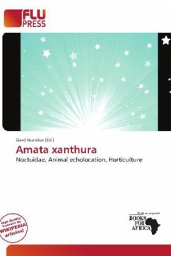 Cover Amata xanthura