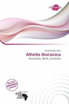 Athetis thoracica