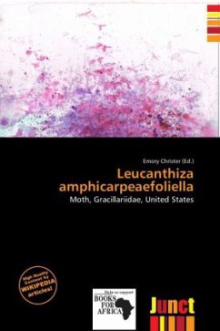 Cover Leucanthiza amphicarpeaefoliella