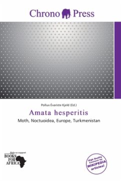 Amata hesperitis