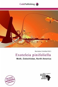 Exoteleia pinifoliella