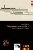 Macroglossum rectans