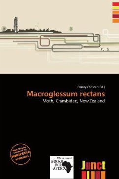 Cover Macroglossum rectans
