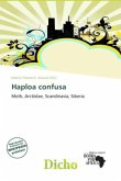 Haploa confusa Haploa confusa