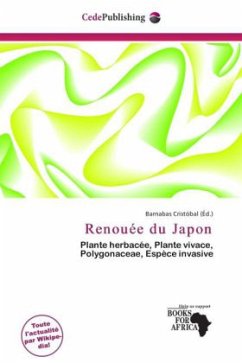 Renouée du Japon