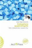 Coleophora quadristrigella