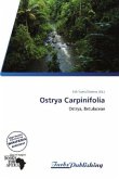 Ostrya Carpinifolia