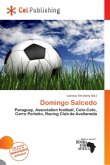 Domingo Salcedo