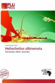 Heliocheilus albivenata Heliocheilus albivenata